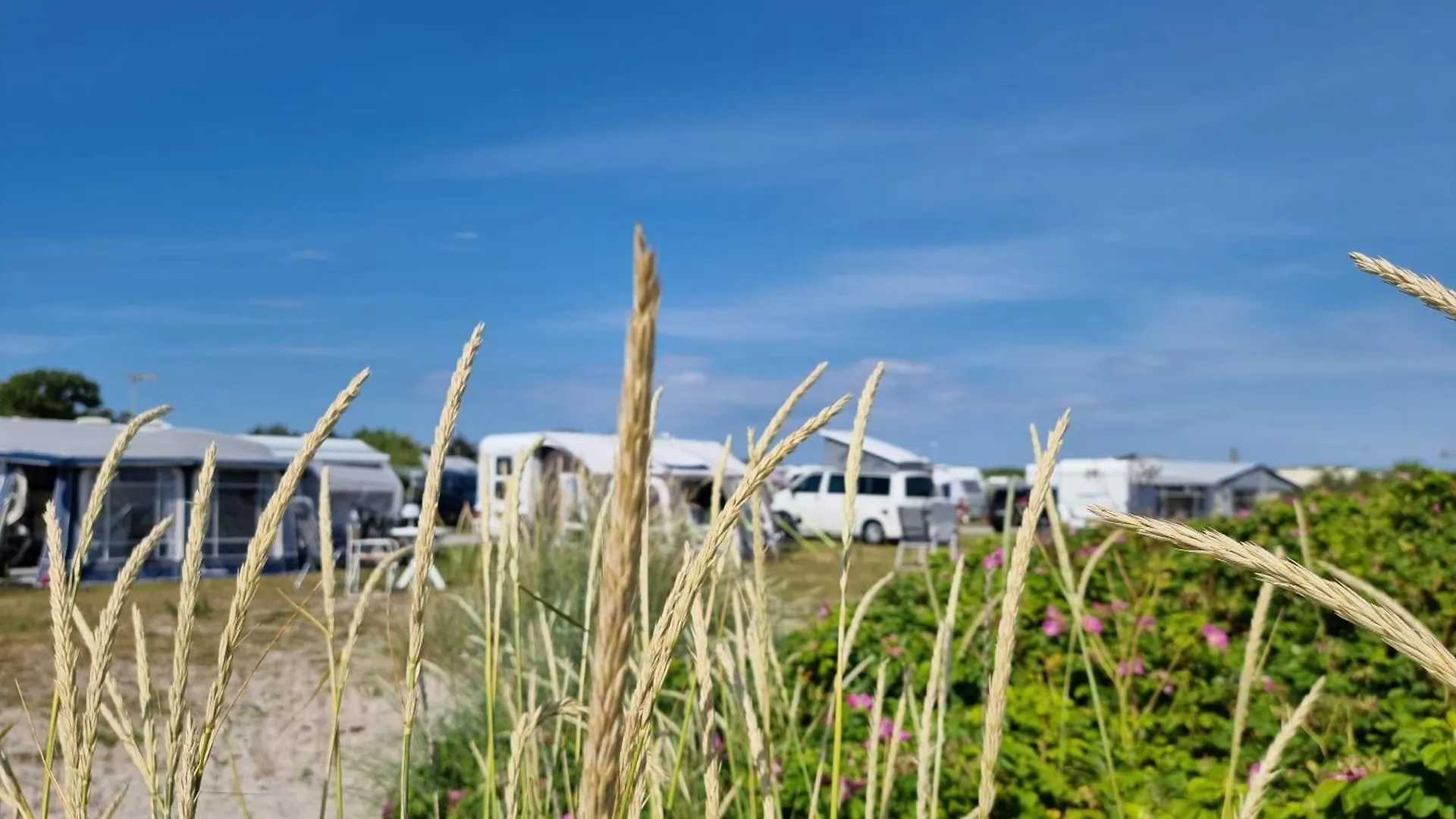 First Camp Grenen Strand スケーエン キャンプ場